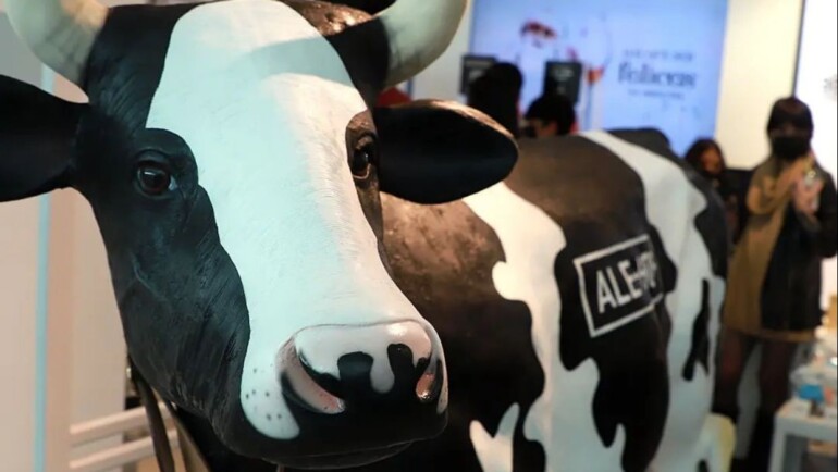 Ale-Hop, la famosa tienda española, abre sus puertas por primera vez en la Ciudad de México